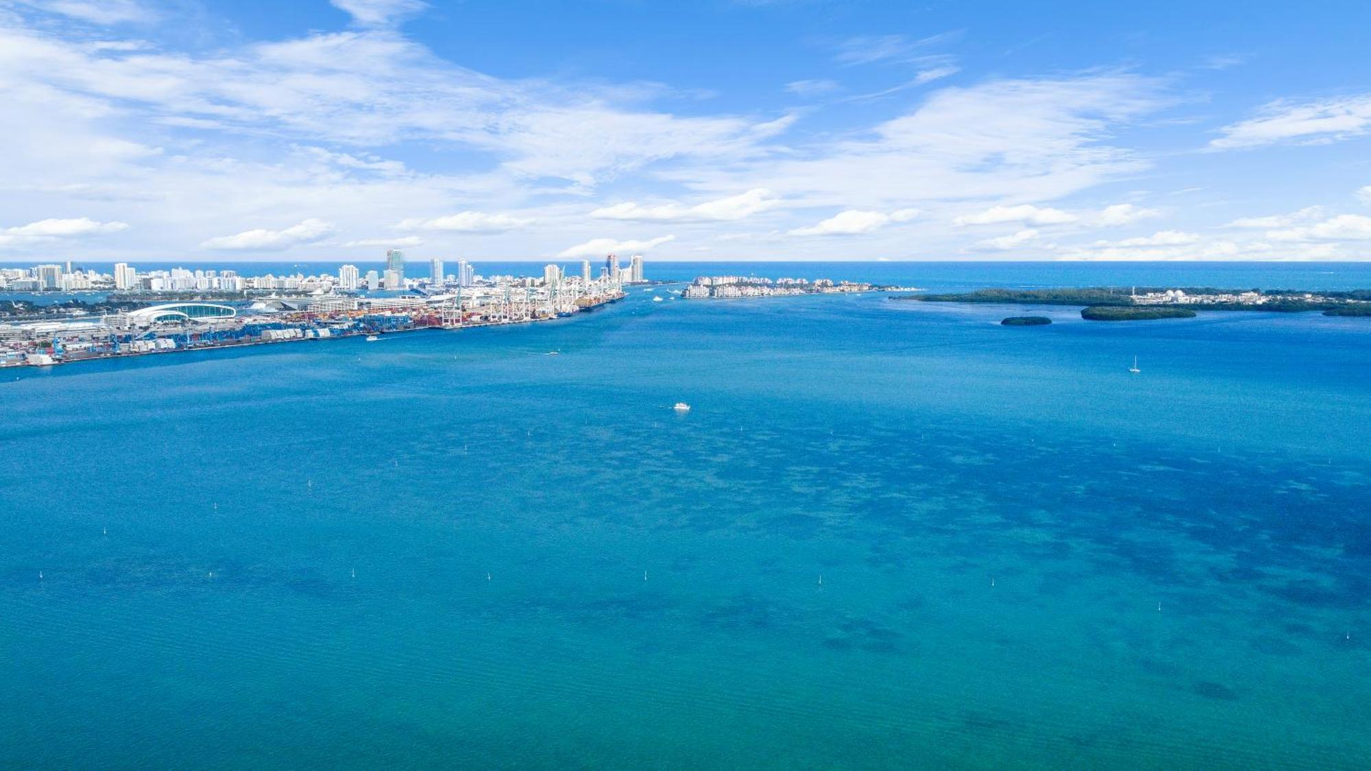 Upscale Brickell 3 Bedroom With Water Views And Free Parking Miami Dış mekan fotoğraf